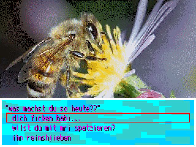 Screen