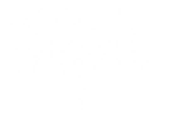 Logo: Blackmetal Logo