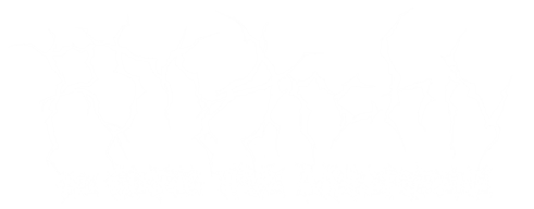 Logo: Black Metal